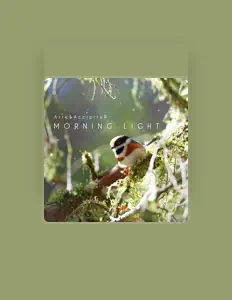 Posłuchaj wykonawcy Arté, obejrzyj teledyski, przeczytaj biografię, zobacz daty tras koncertowych i nie tylko!