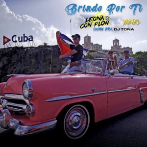 Brindo Por Ti (feat. Livan Pro)
