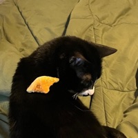 Happens Too Often - Single - Bedrooms