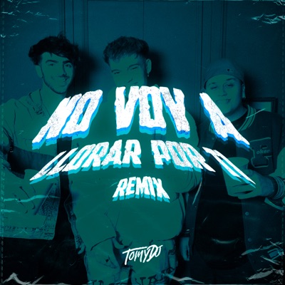 No Voy a Llorar Por Ti ((versión DJ Remix)) [feat. Ian Lucas & Fede Vigevani] - Single