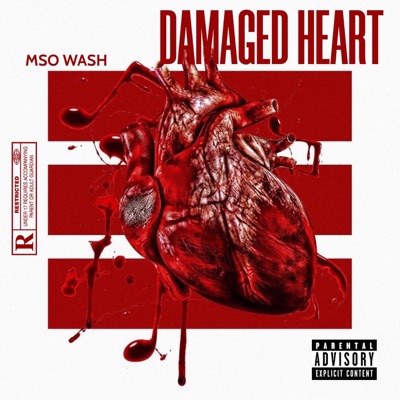 Damaged Heart