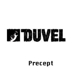 Hoiiiijjjjjjj (feat. Supadupah & Rein de Vos) Duvel