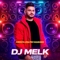 Forrózin Joga Pro Vagabundo - Single - djmelk