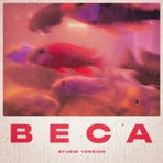 Bể Cá - Single