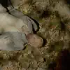 Lift Him up