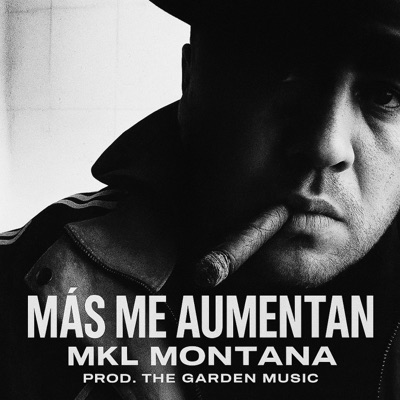 Más me aumentan (feat. The Garden Music) - Single