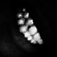 NO HOOK (feat. K12) - Single - luhvhalo