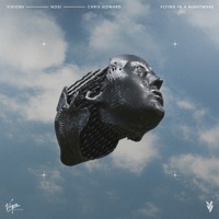 Flying In A Nightmare (feat. Chris Howard) - Single - VisionV & Nosi