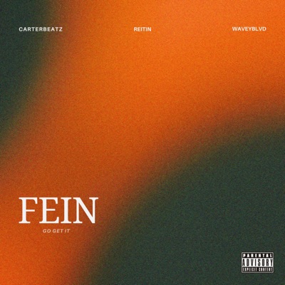FEIN (GO GET IT) - Single