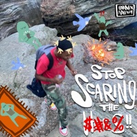 Stop Scaring the Hoes! - Single - Irk