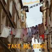 Take Me Home artwork