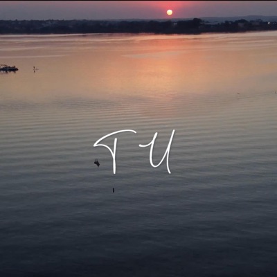 Tu (feat. Daniel Balas) - Single