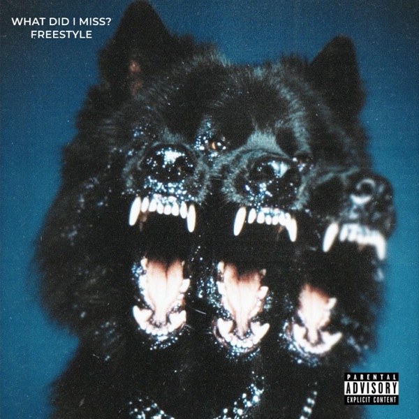What Did I Miss? Freestyle
