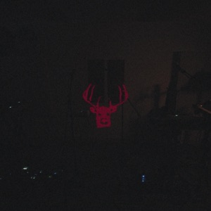 29 #Strafford APTS (Live) - Single