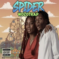 Wozotrap - Spider