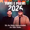 Já Que Me Ensinou a Beber