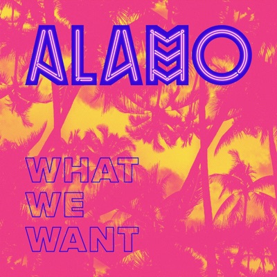 What We Want (feat. Adam Wave) - Single