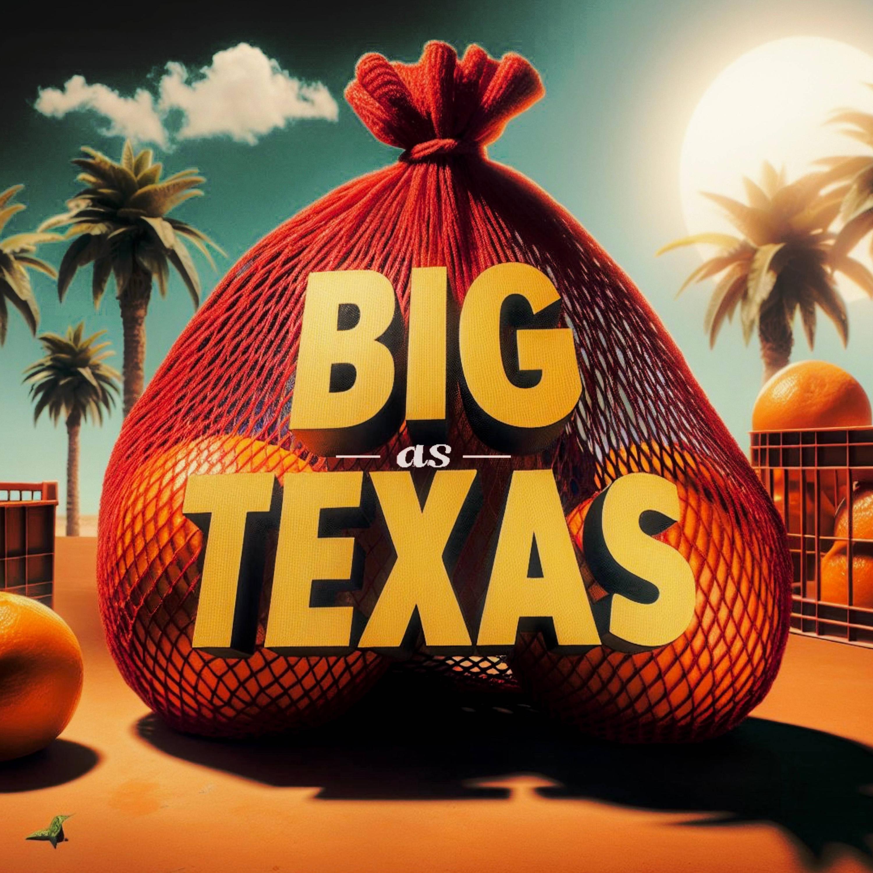 Big As Texas - Single