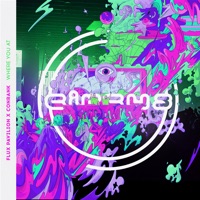 Where You At - Single - Flux Pavilion & Conrank