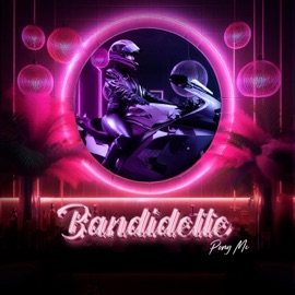 Bandidette Pony Mc