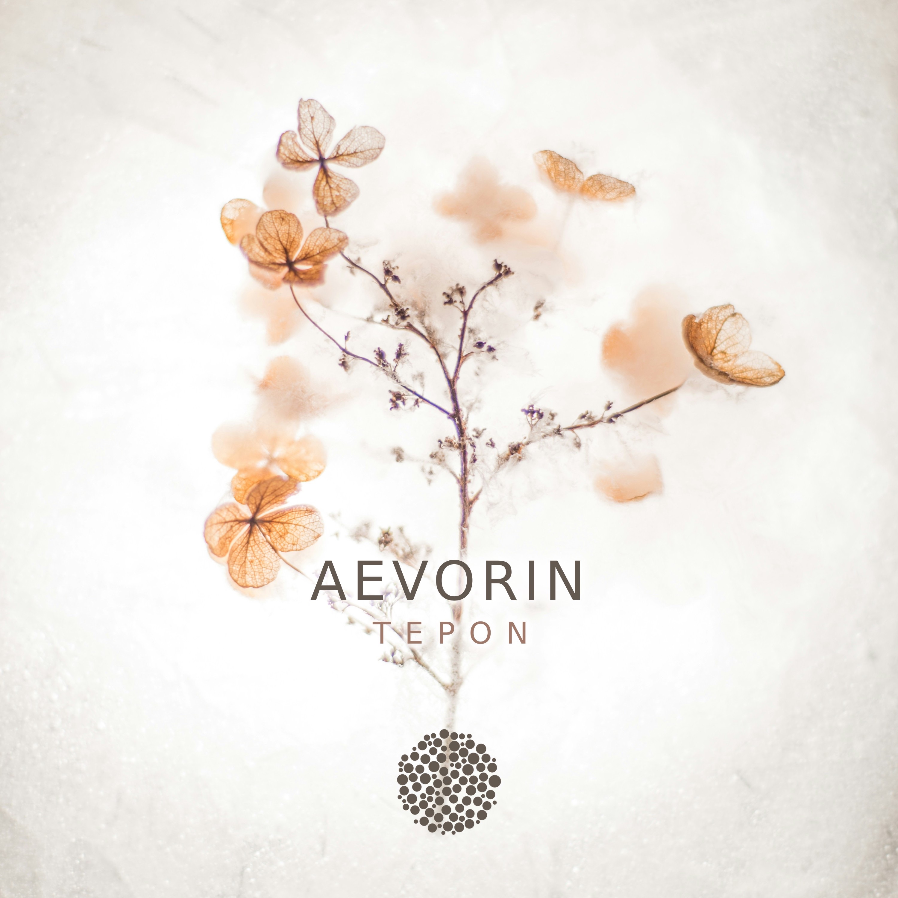 Aevorin - Single
