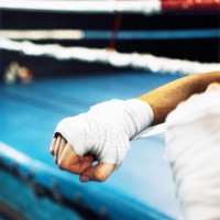 Knockout - Single - 2Late