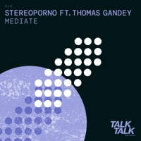 Mediate - Single - Stereoporno & Thomas Gandey