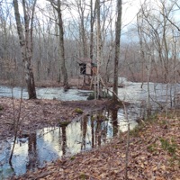 36 lessons of manipulation space and time - Single - Big Backwoods & mr tetch