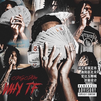 WHY TF (feat. LilReapey) - Single