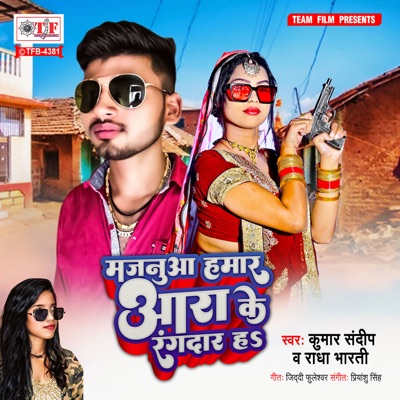 Majanua Hamaar Ara Ke Rangdar Ha - Single