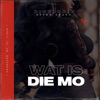 Wat Is Die Mo - Single