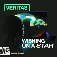 Wishing On A Star — VERITAS