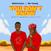 You Don’t Know (feat. Mrr Cloudy) song art