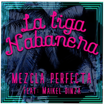 MEZCLA PERFECTA (remastered) (feat. Maikel Dinza) - Single