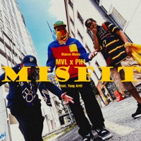 MISFIT (feat. Yang Ariff) - Single - MVL & Ph1