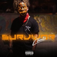Survivor - Single - Clandes