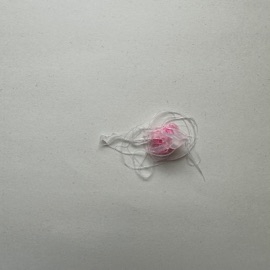 Cagematch gabby start & Knapsack