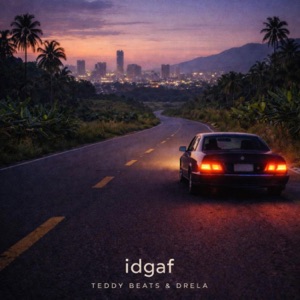 IDGAF - Single