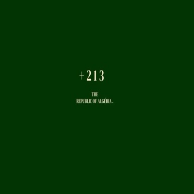 +213 (Remix) - Single