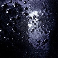 Forum - Single - erl