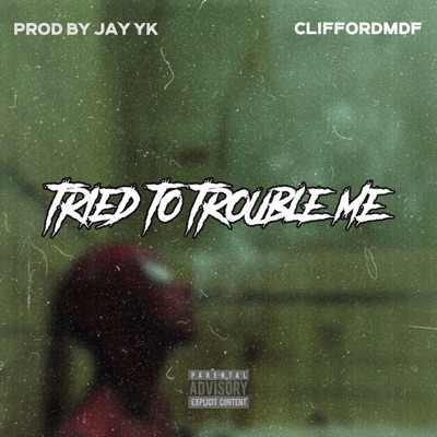 Tried to trouble me - Single