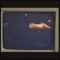 earthbound (feat. 8ickleaux) - quadded lyrics
