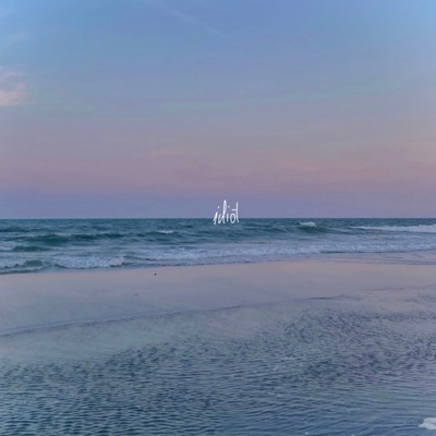 idiot (feat. luckynumberseven) - Single