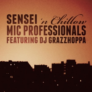 Mic Professionals (feat. Dj Grazzhoppa) - Single