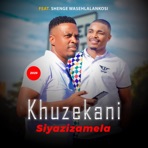 Siyazizamela feat ShengeWasehlalaNkosi - Single