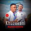 Siyazizamela feat ShengeWasehlalaNkosi - Single