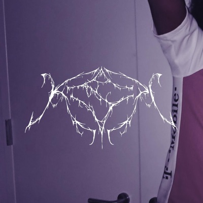 Idontevenknowwhatthefuckisgoingonforreallike (Demo) - Single