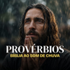 Provérbios Completo | Bíblia ao Som de Chuva - Chuvas da Palavra new Song