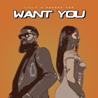 Want You (feat. Meneer Cee) - Single - Laila