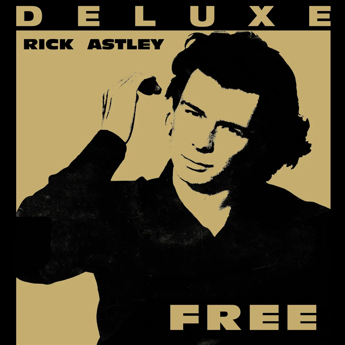 Rick Astley - Free (Deluxe Edition - 2024 Remaster) (2024) [iTunes Plus AAC M4A]-新房子